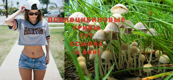 кокаин колумбия Бородино