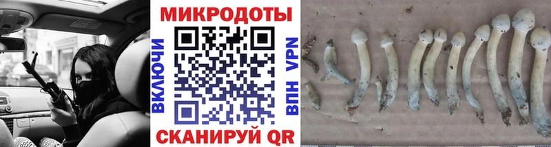 Псилоцибиновые грибы Magic Shrooms Челябинск